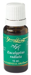 eucalyptus oil