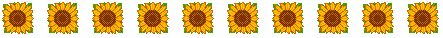 sunflowers